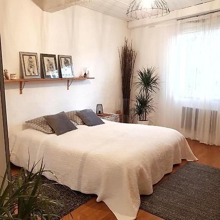 Chambre D Hotes "Lilimyna" Avec Petit Dejeuner Barjols Dış mekan fotoğraf