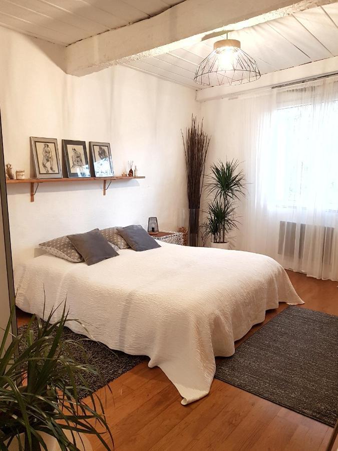 Chambre D Hotes "Lilimyna" Avec Petit Dejeuner Barjols Dış mekan fotoğraf